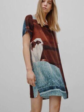 🌹NWOT! 🌹ZARA Silk Abstract Shift Dress